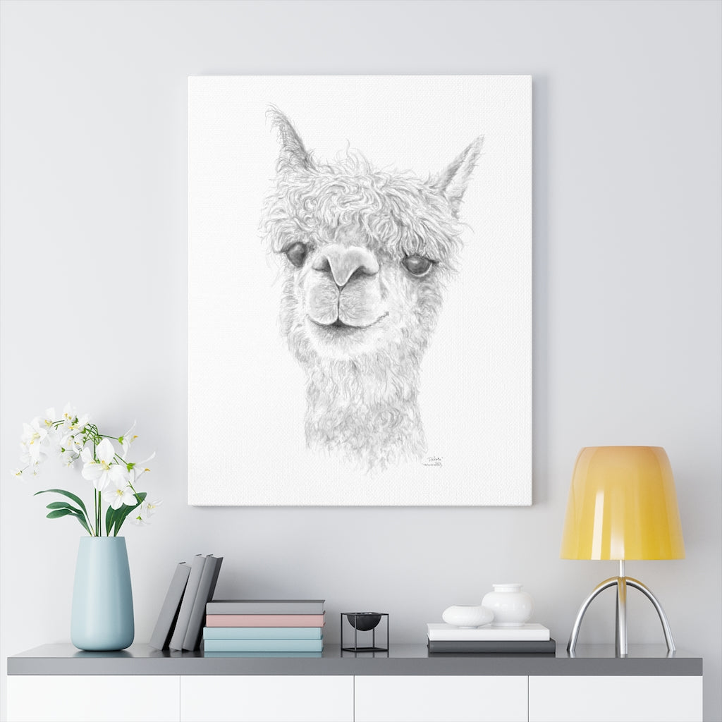 DAKOTA Llama - Art Canvas