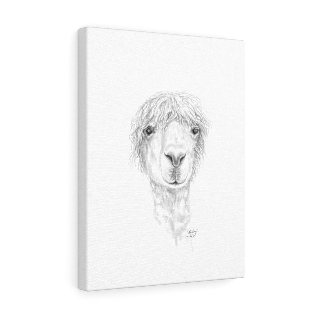 MARLEY Llama - Art Canvas