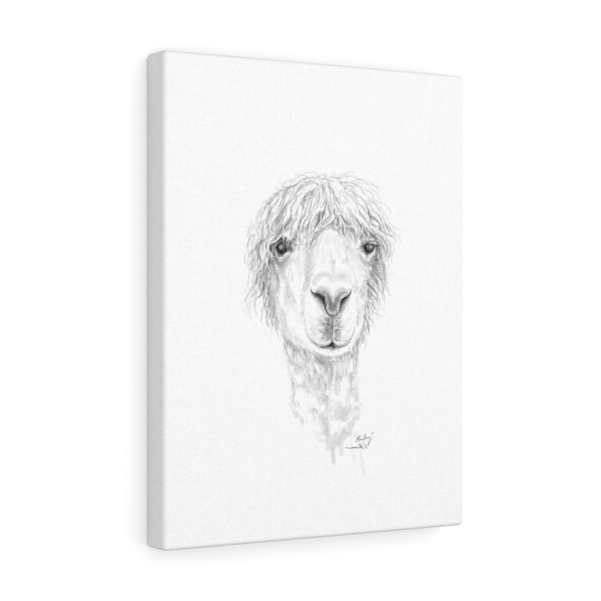 MARLEY Llama - Art Canvas