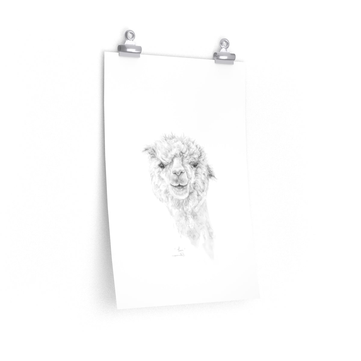 TAVI Llama- Art Paper Print