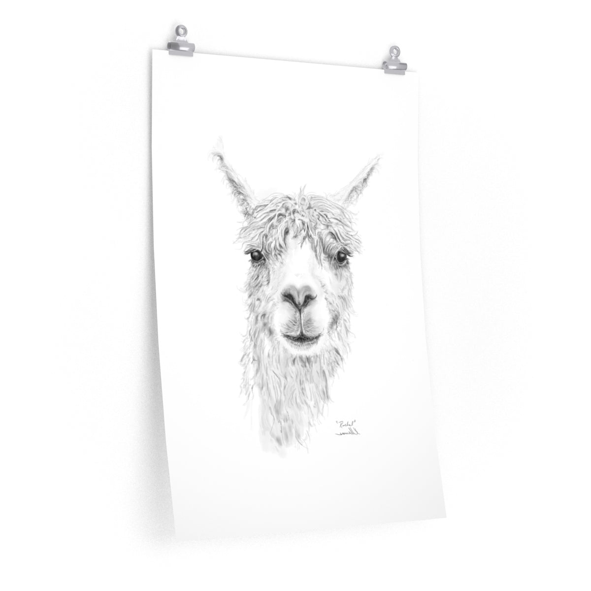 RACHEL Llama- Art Paper Print