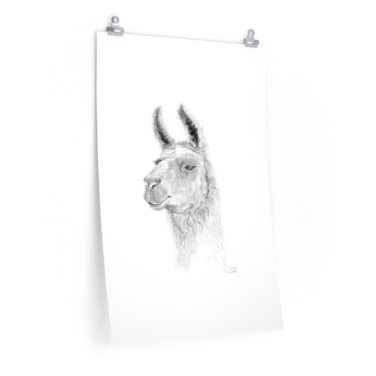 JAN CARLO Llama- Art Paper Print