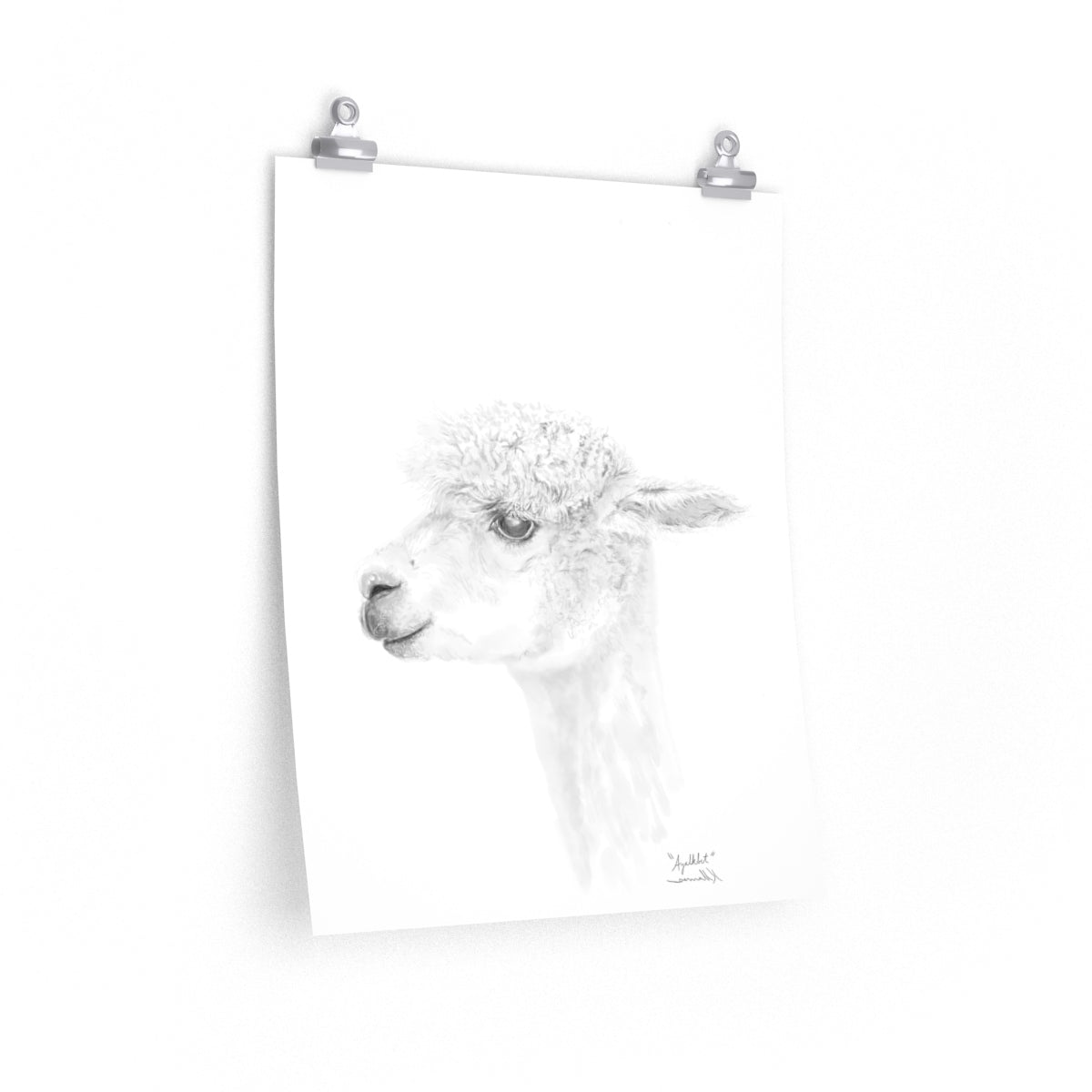 AYALKBET Llama- Art Paper Print