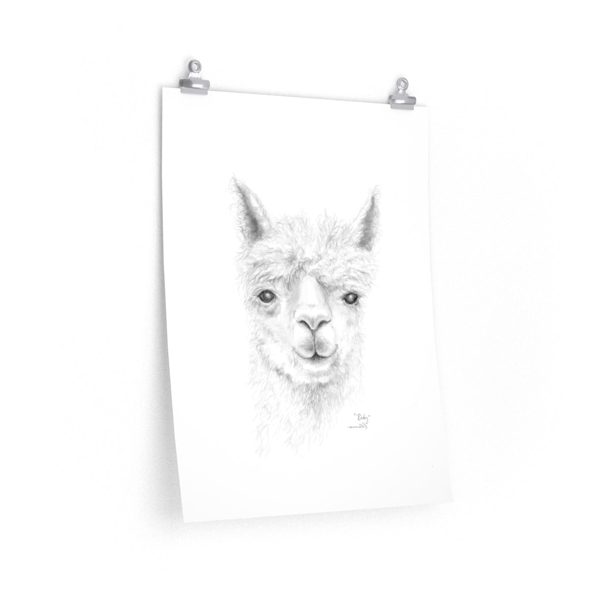 RICKY Llama- Art Paper Print