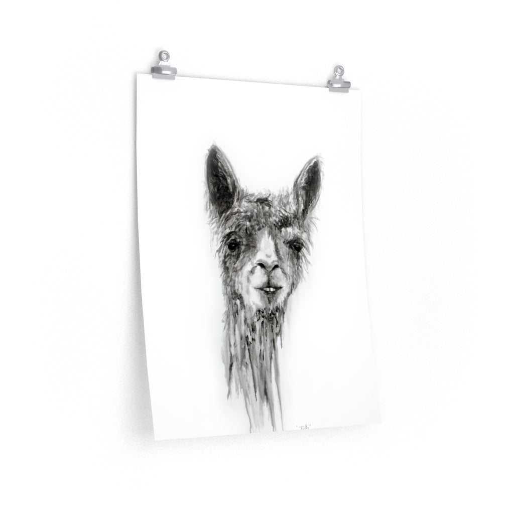 BILLY Llama- Art Paper Print