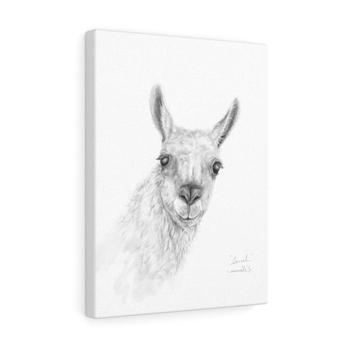 SARRAH Llama - Art Canvas