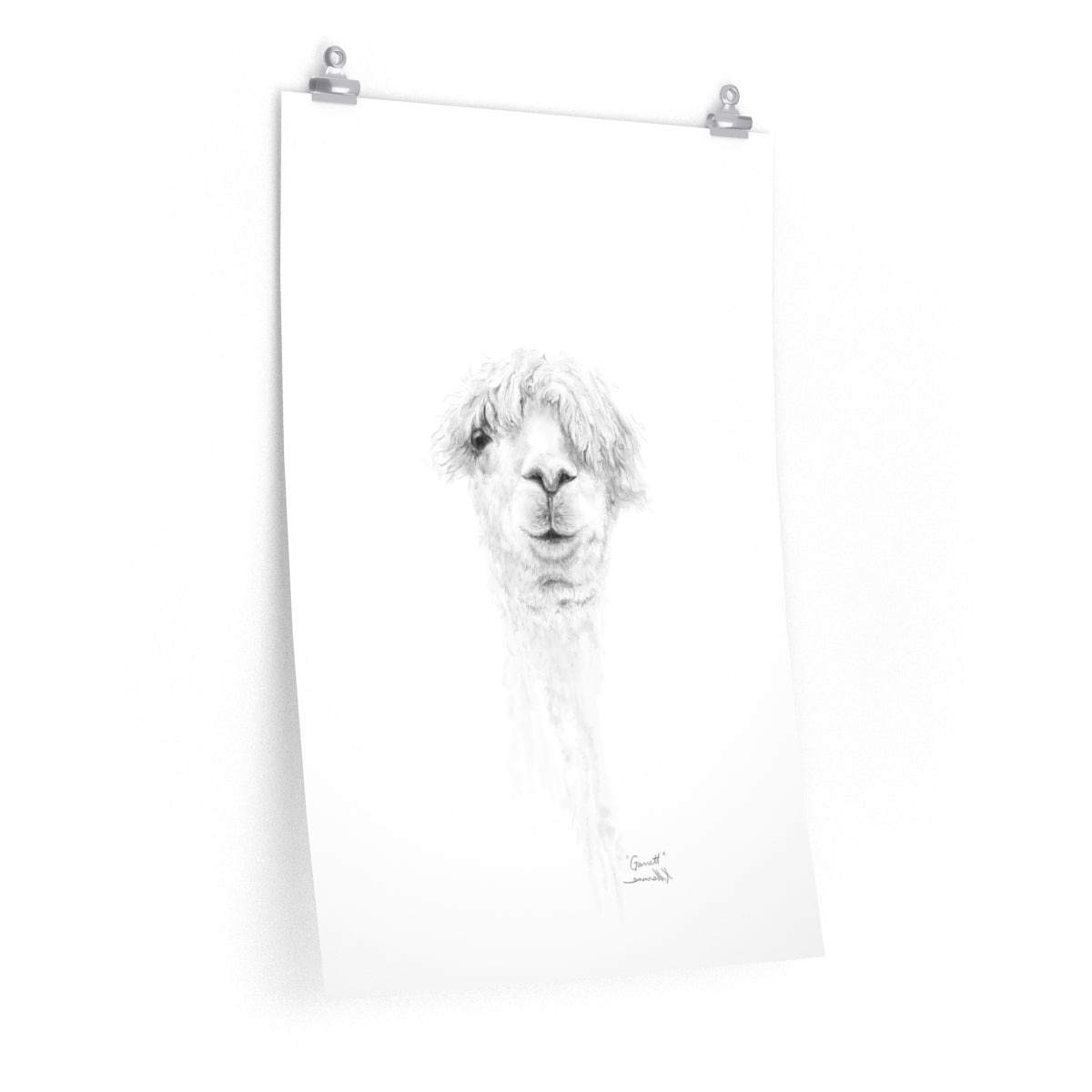 GARRETT Llama- Art Paper Print