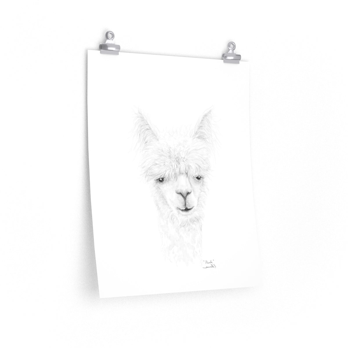 PHOEBE Llama- Art Paper Print