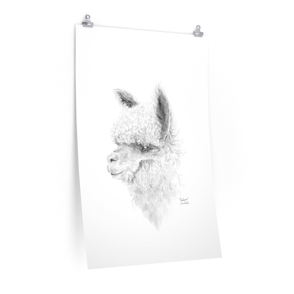 JACKSON Llama- Art Paper Print