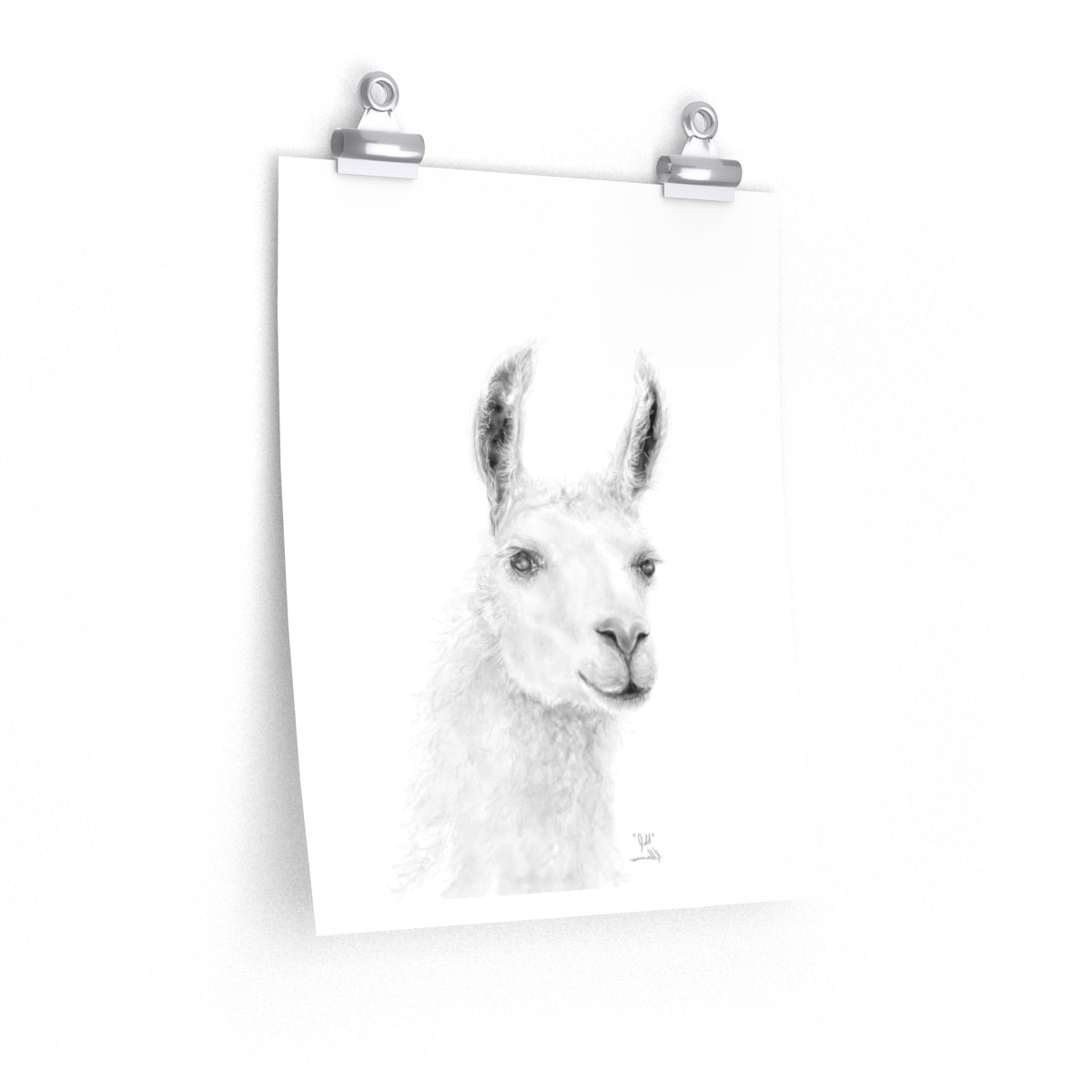 JILL Llama- Art Paper Print