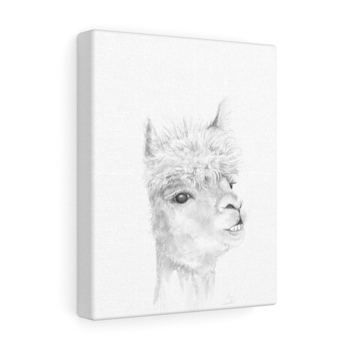 MARC Llama - Art Canvas