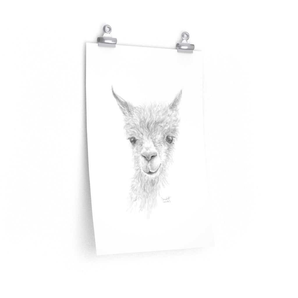 CAMPBELL Llama- Art Paper Print