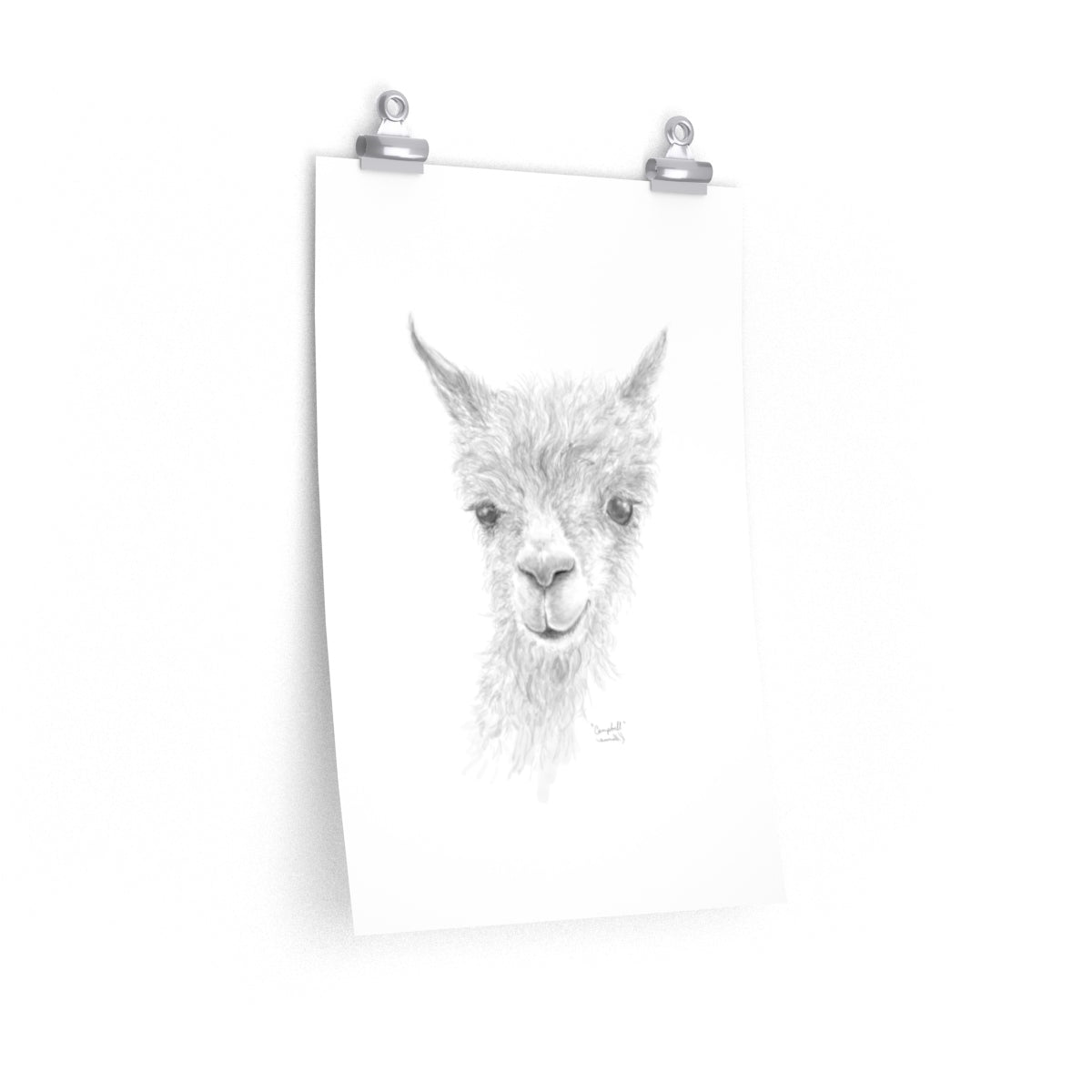 CAMPBELL Llama- Art Paper Print