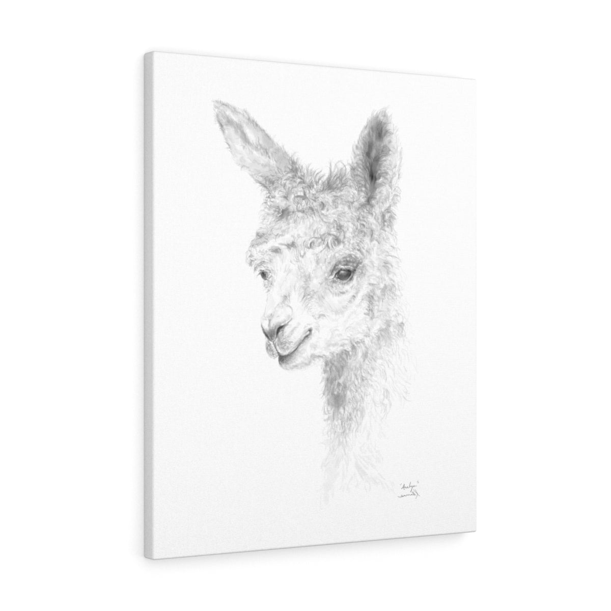 ANALYN Llama- Art Canvas