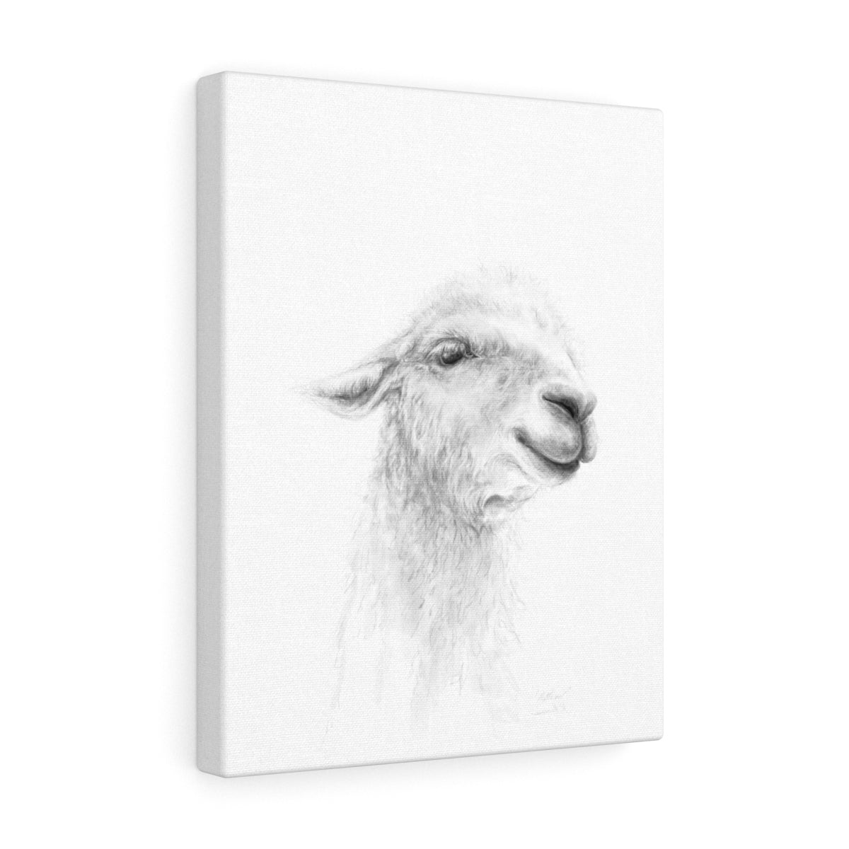 MATTHEW Llama - Art Canvas