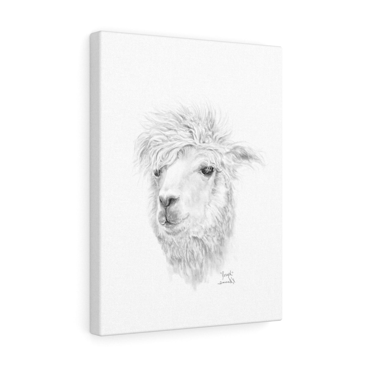 JOSEPH Llama - Art Canvas