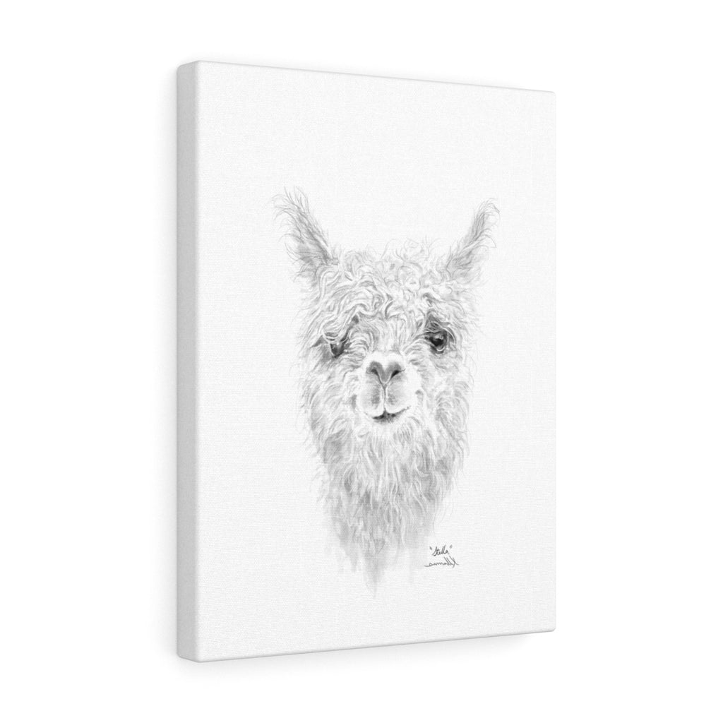 STELLA Llama - Art Canvas