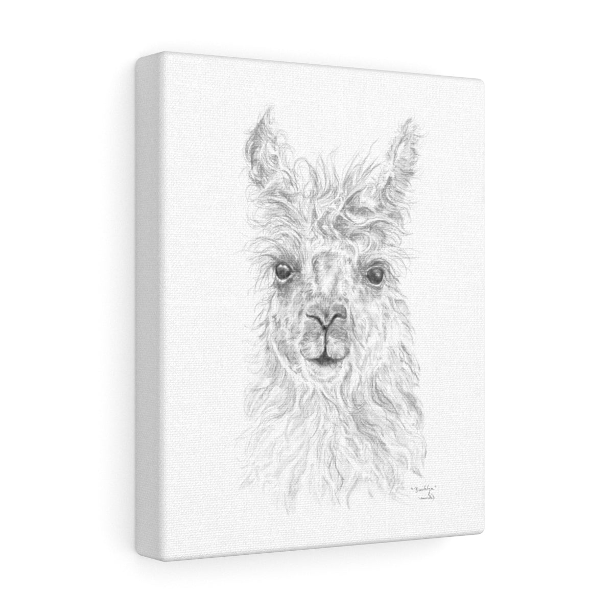 BROOKLYN Llama - Art Canvas
