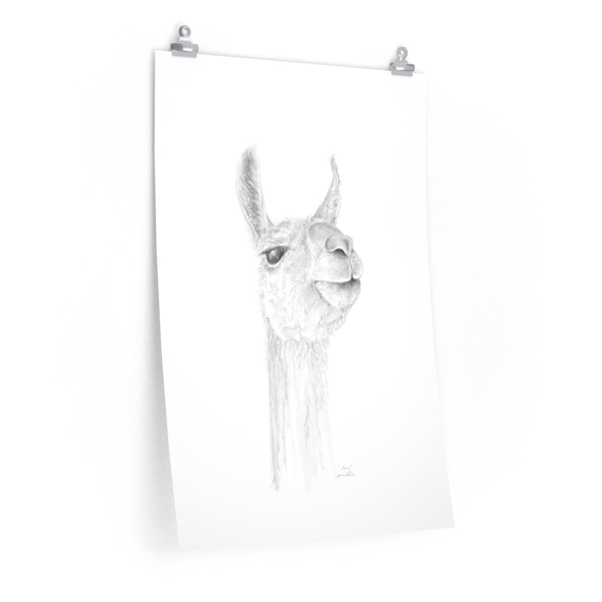 AMY Llama- Art Paper Print