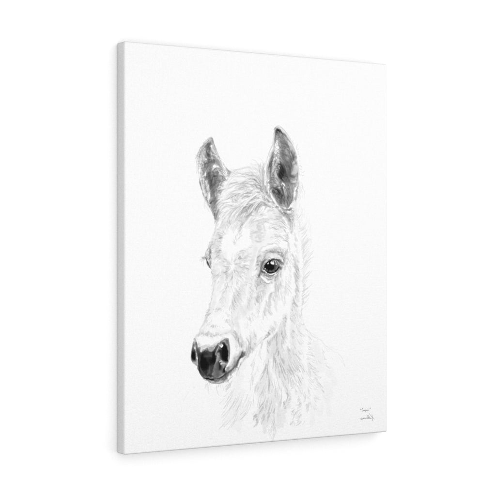 Cooper Horse - Animal Art Canvas
