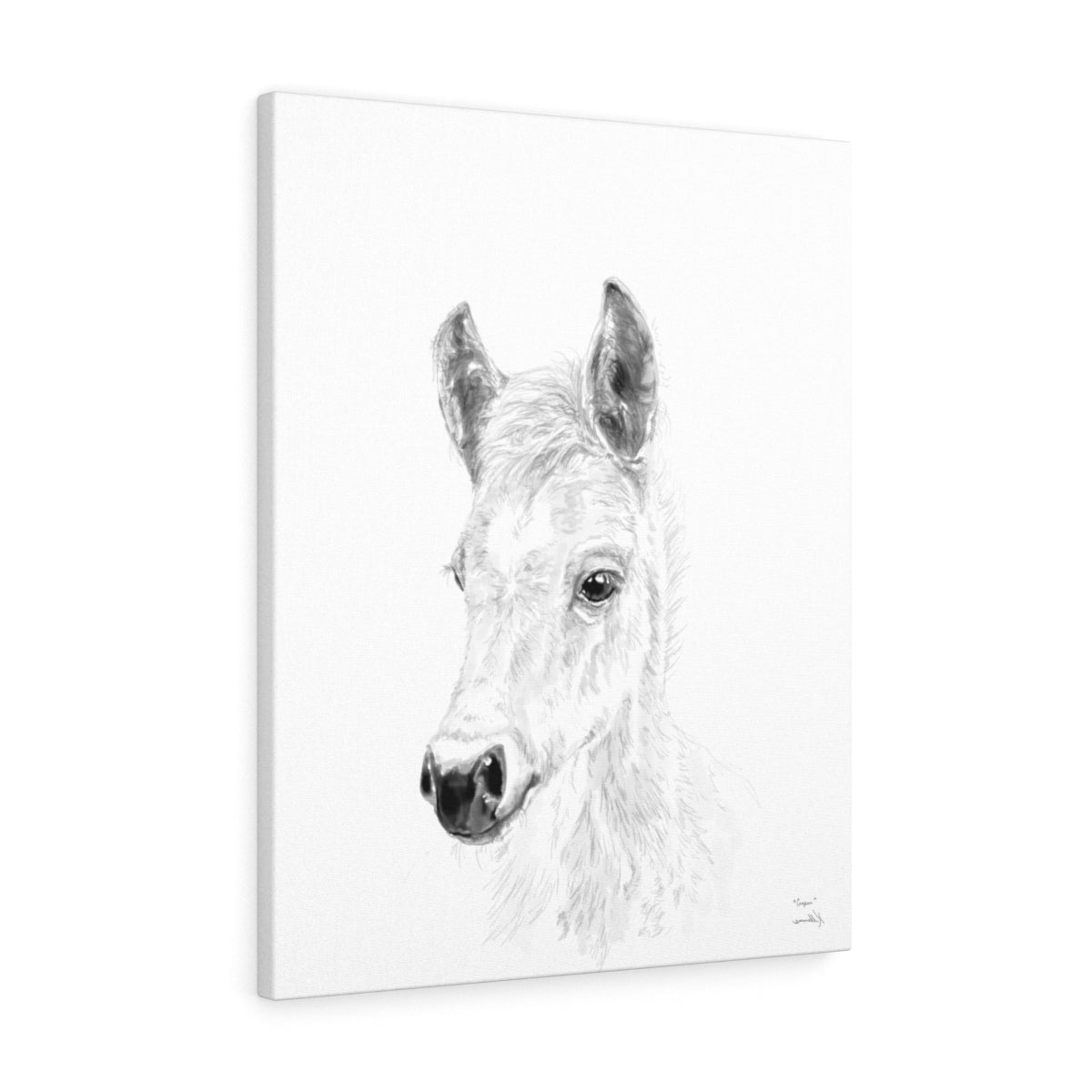 Cooper Horse - Animal Art Canvas