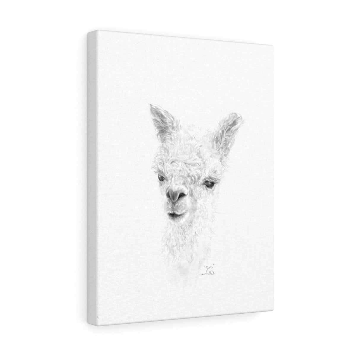ZOE Llama - Art Canvas