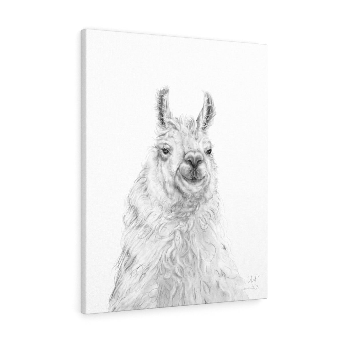ART Llama - Art Canvas