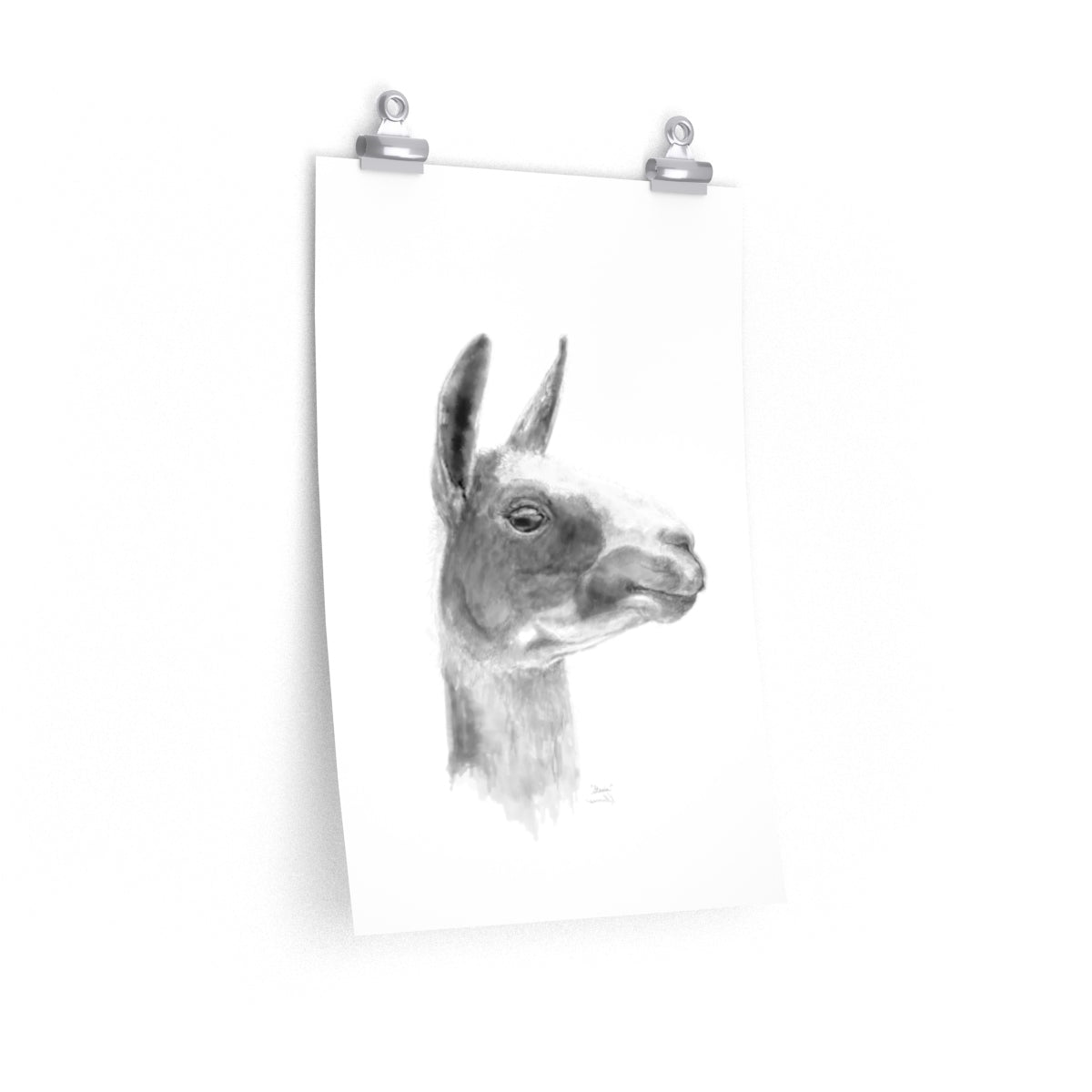 STASIA Llama- Art Paper Print