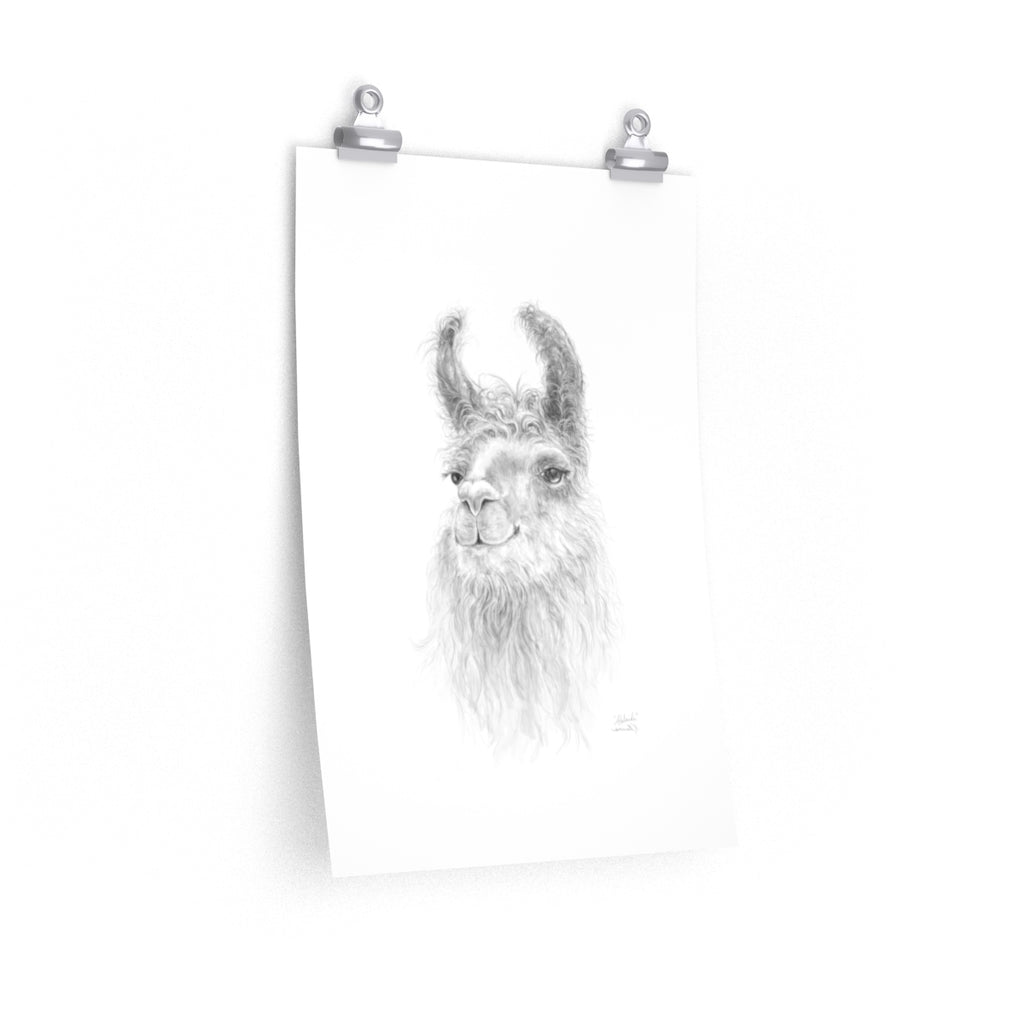 ADELAIDE Llama- Art Paper Print