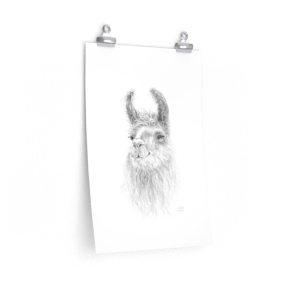 ADELAIDE Llama- Art Paper Print