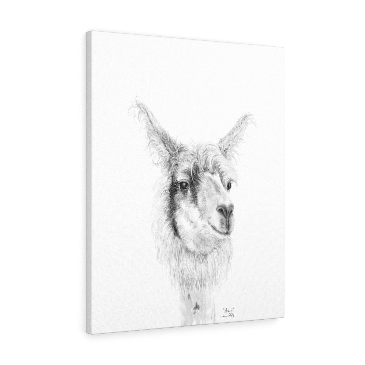 ADAM Llama - Art Canvas