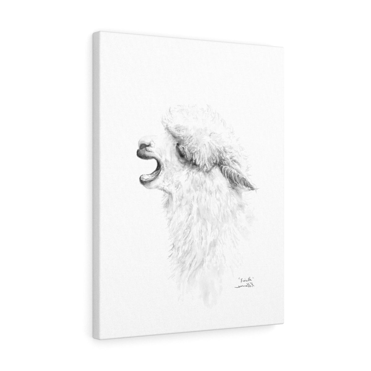 FIORELLA Llama - Art Canvas