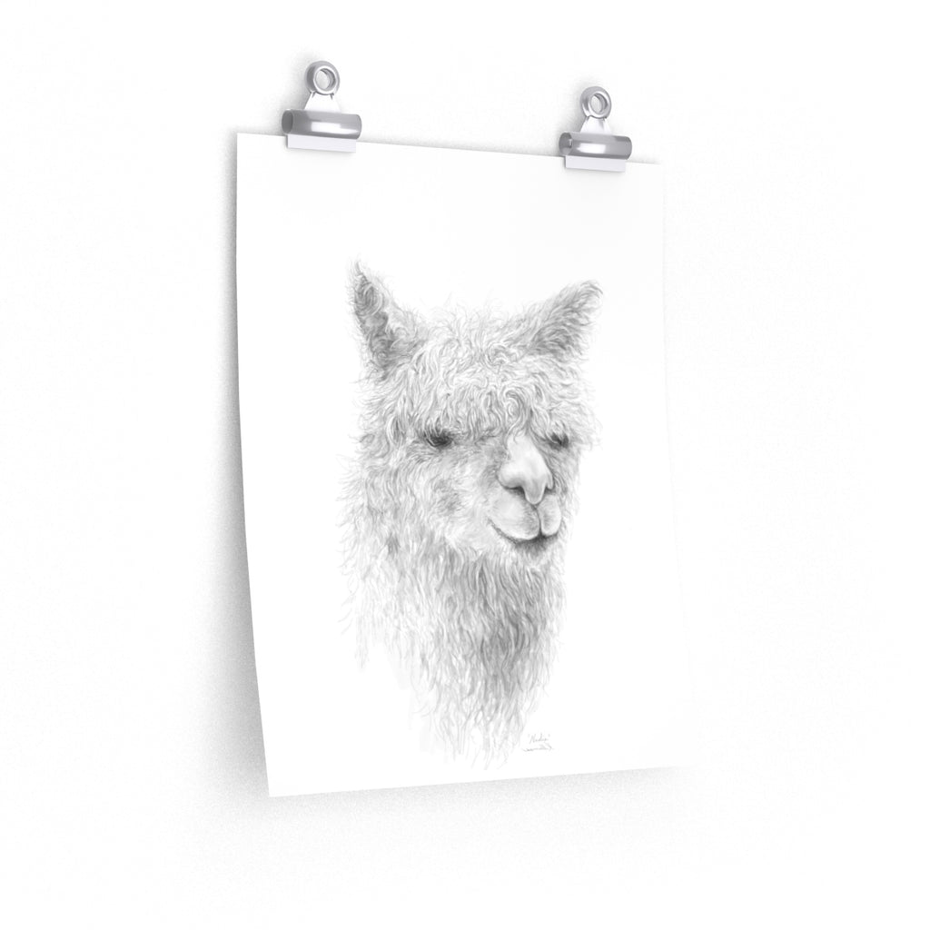 NADIA Llama- Art Paper Print