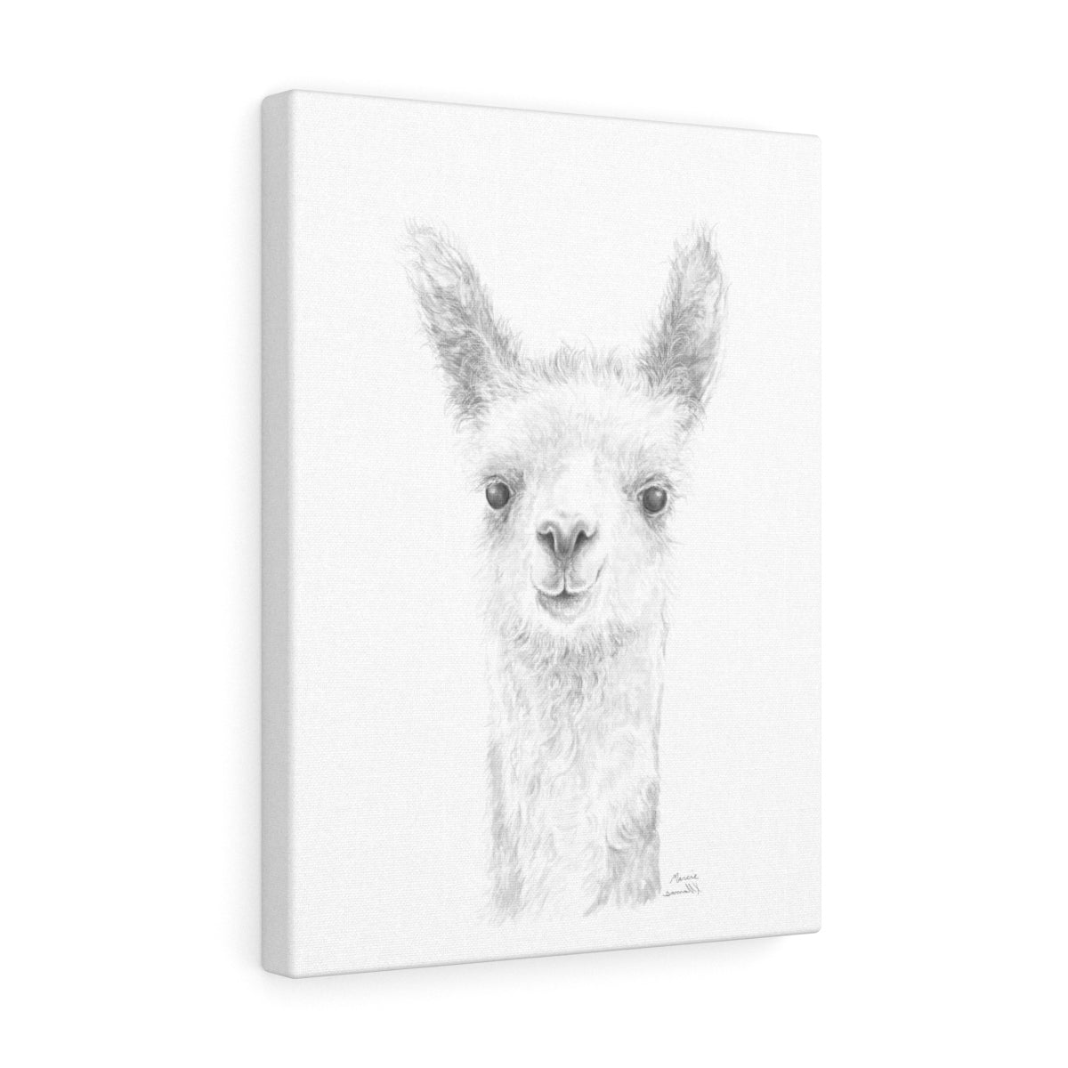 Copy of MARCIE Llama - Art Canvas