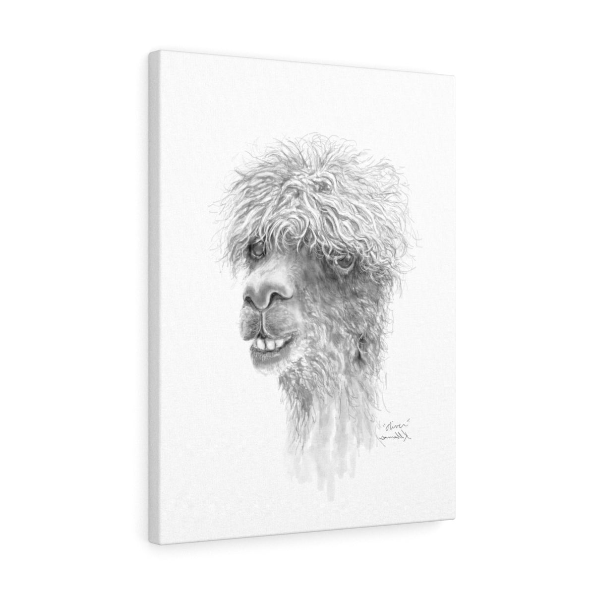 OLIVER Llama - Art Canvas