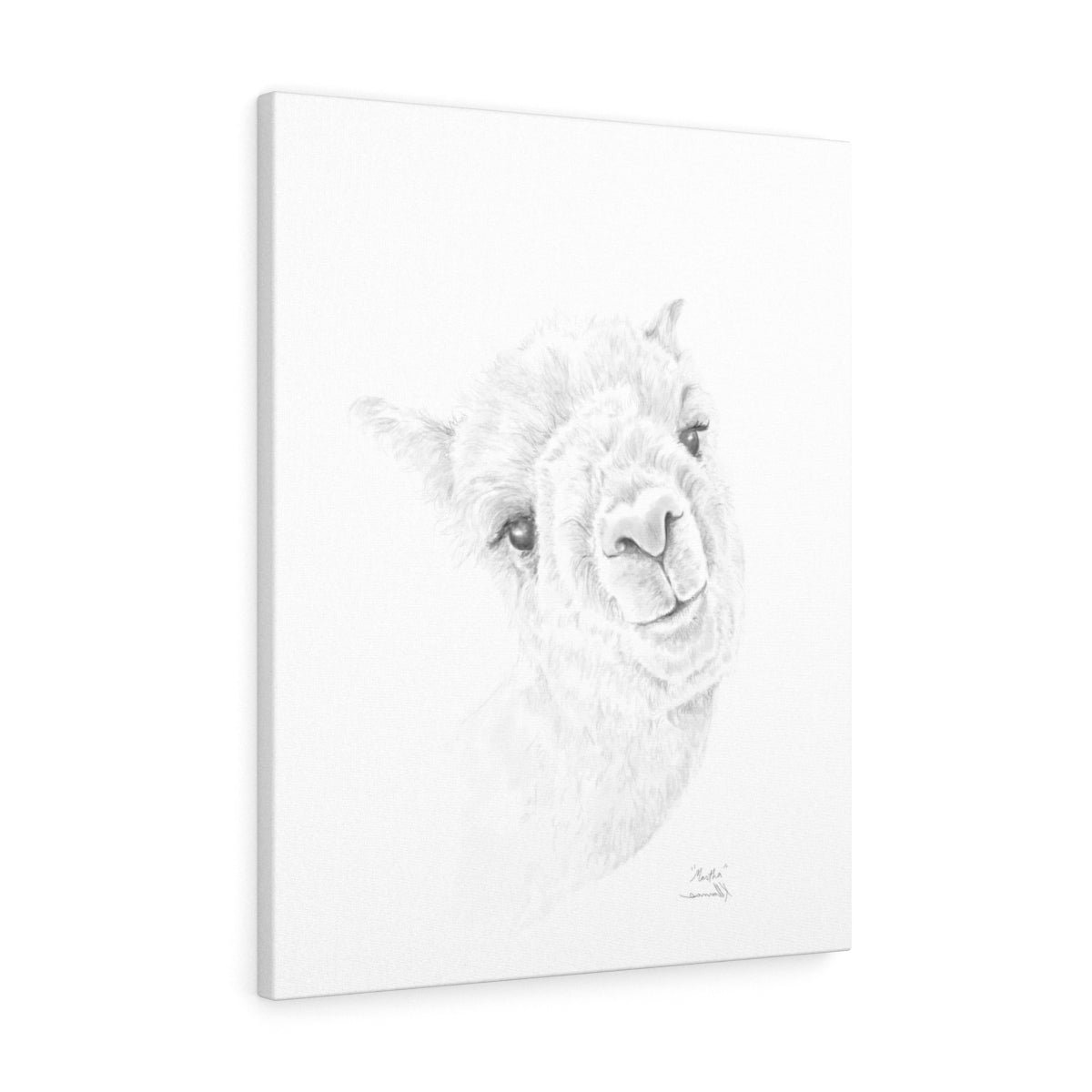 MARTHA Llama - Art Canvas