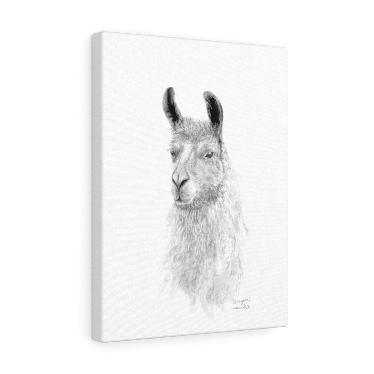 GRAYSON Llama - Art Canvas