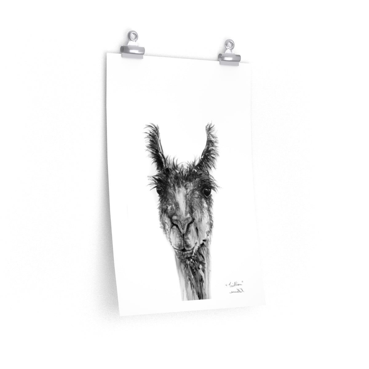 TRILLIAN Llama- Art Paper Print