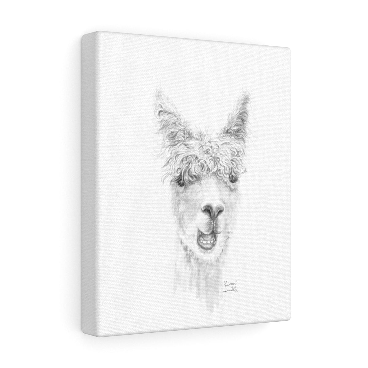 LEONA Llama - Art Canvas