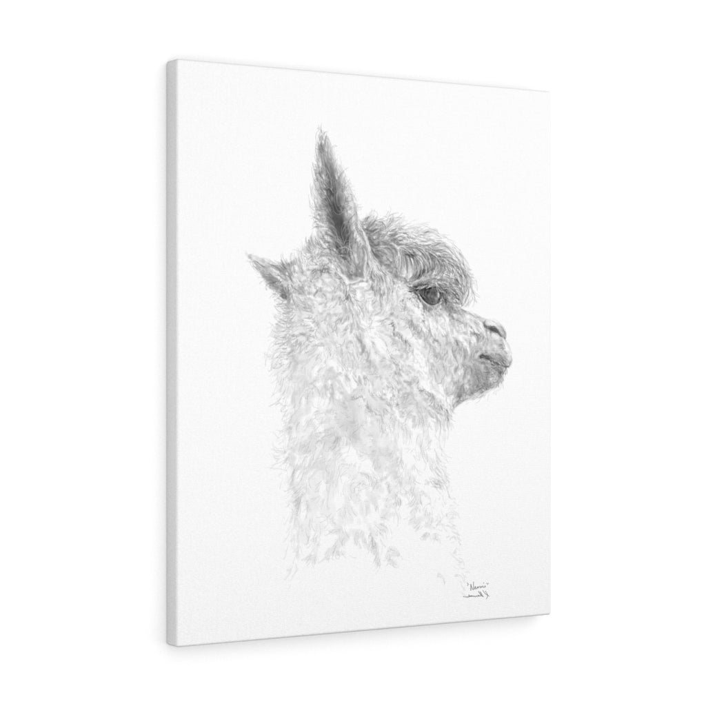 NAOMI Llama - Art Canvas
