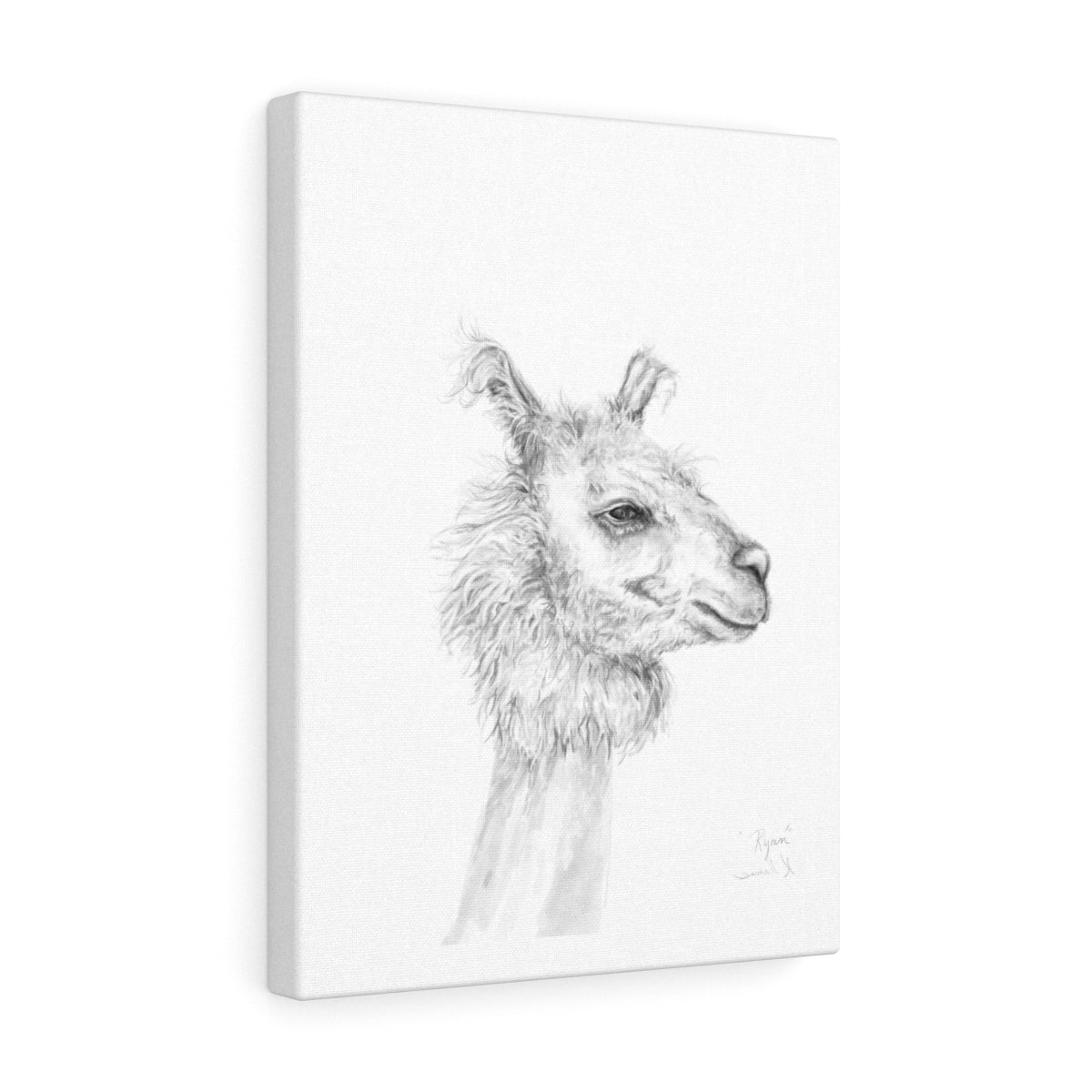 RYAN Llama - Art Canvas