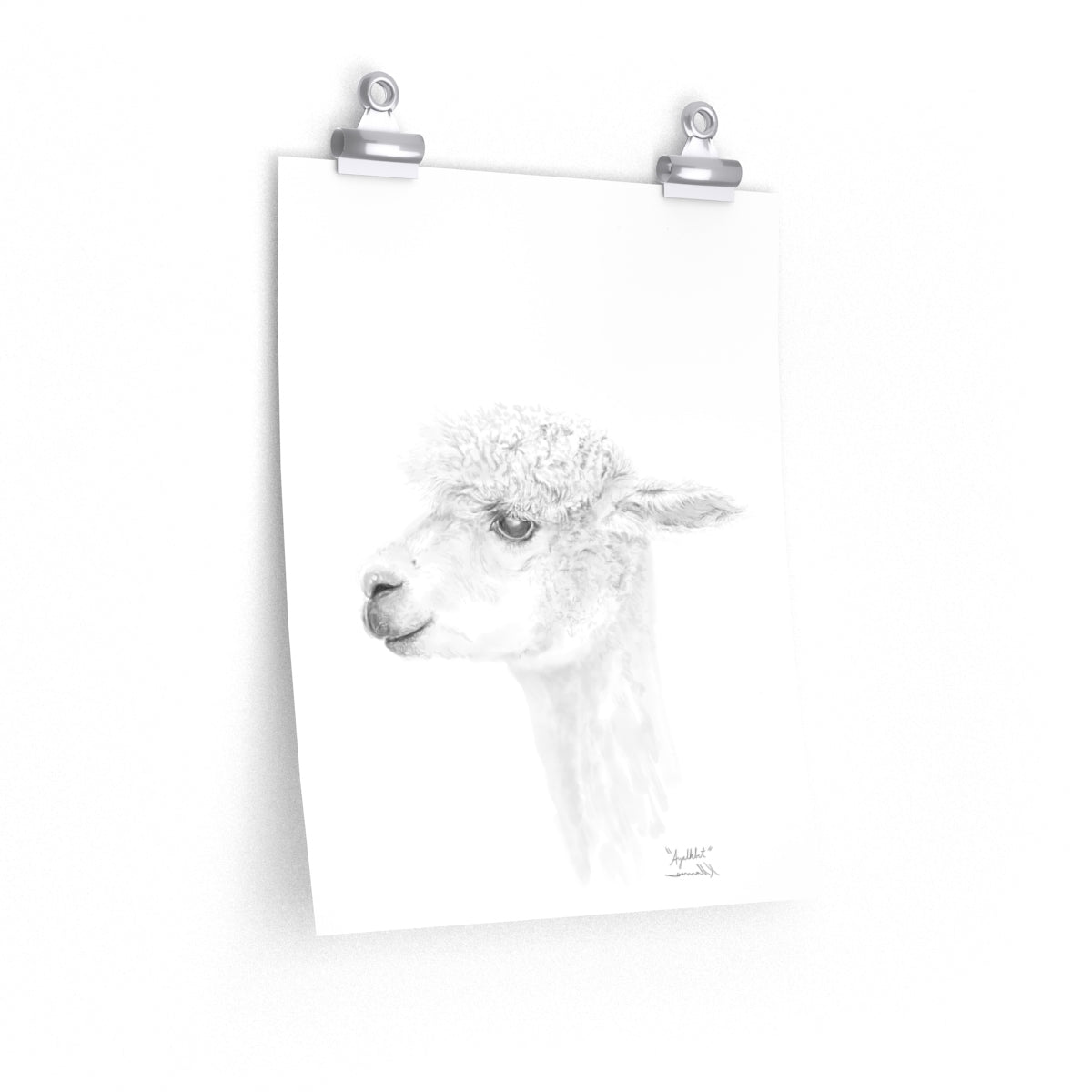 AYALKBET Llama- Art Paper Print