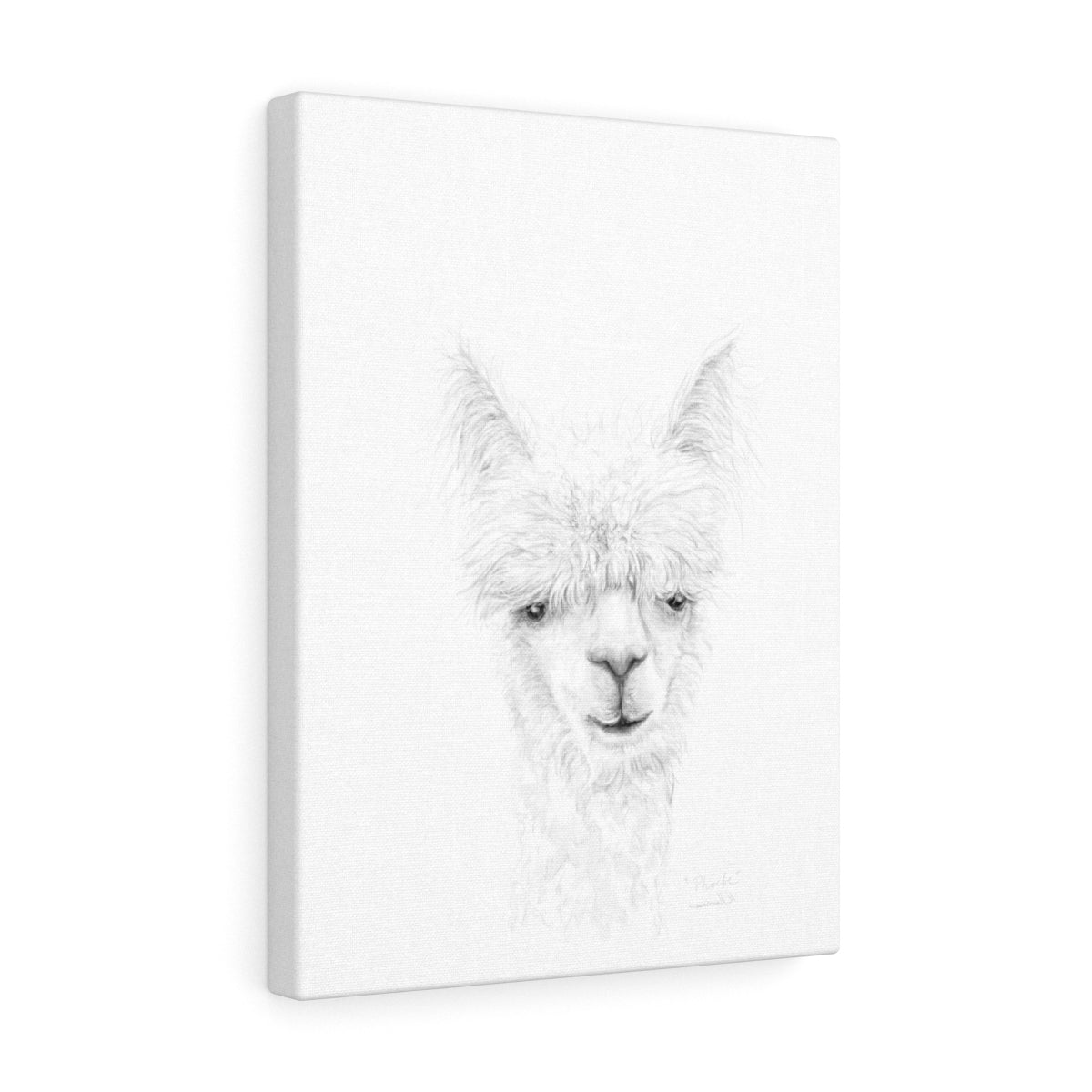 PHOEBE Llama - Art Canvas