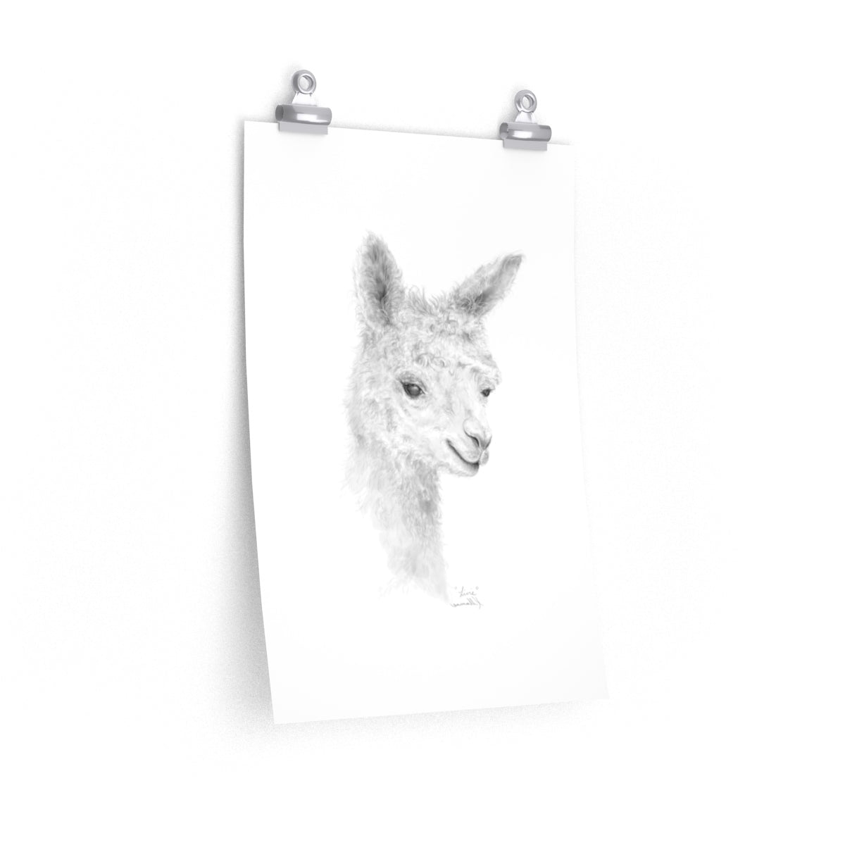 LIVIE Llama- Art Paper Print