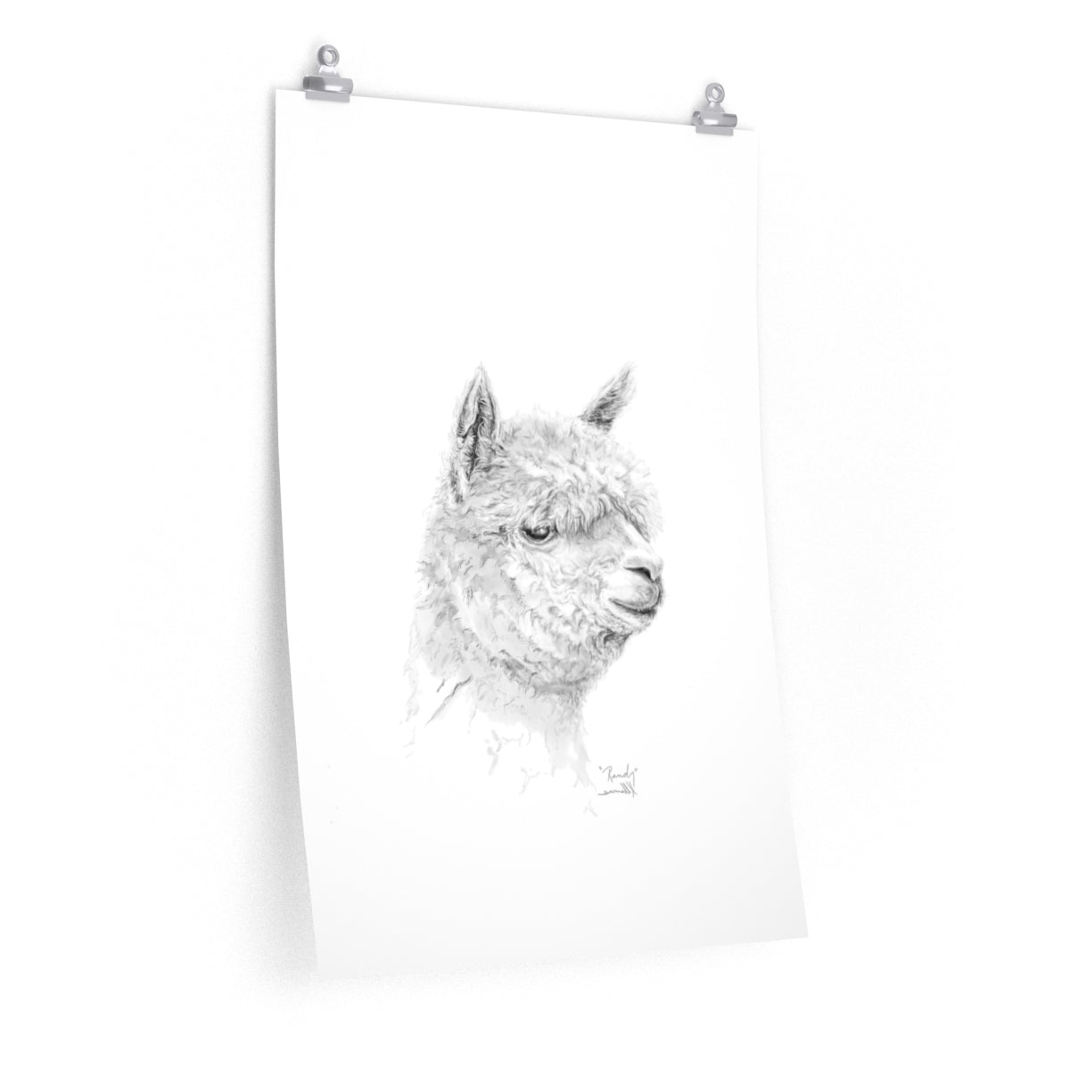 RANDY Llama- Art Paper Print
