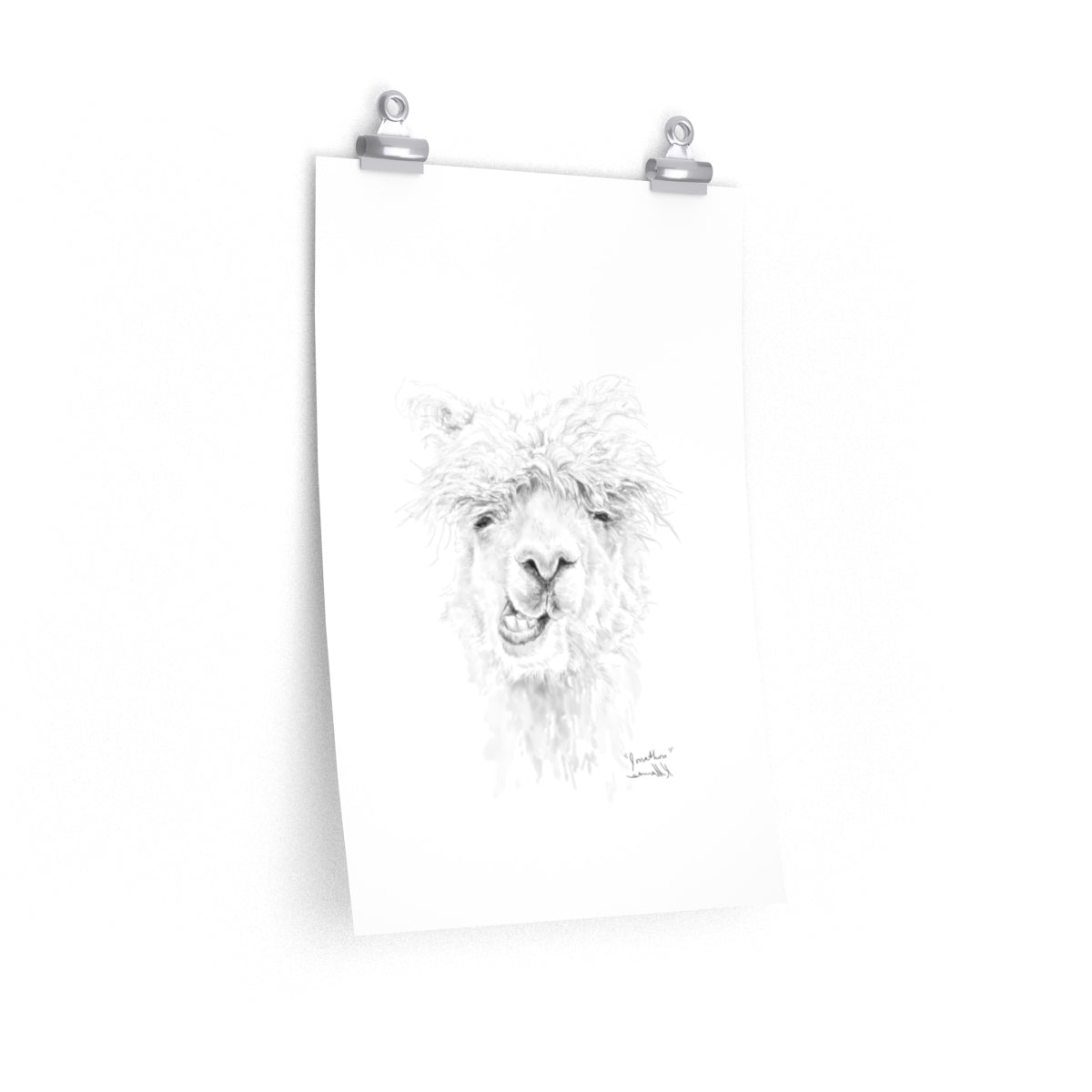JONATHON Llama- Art Paper Print
