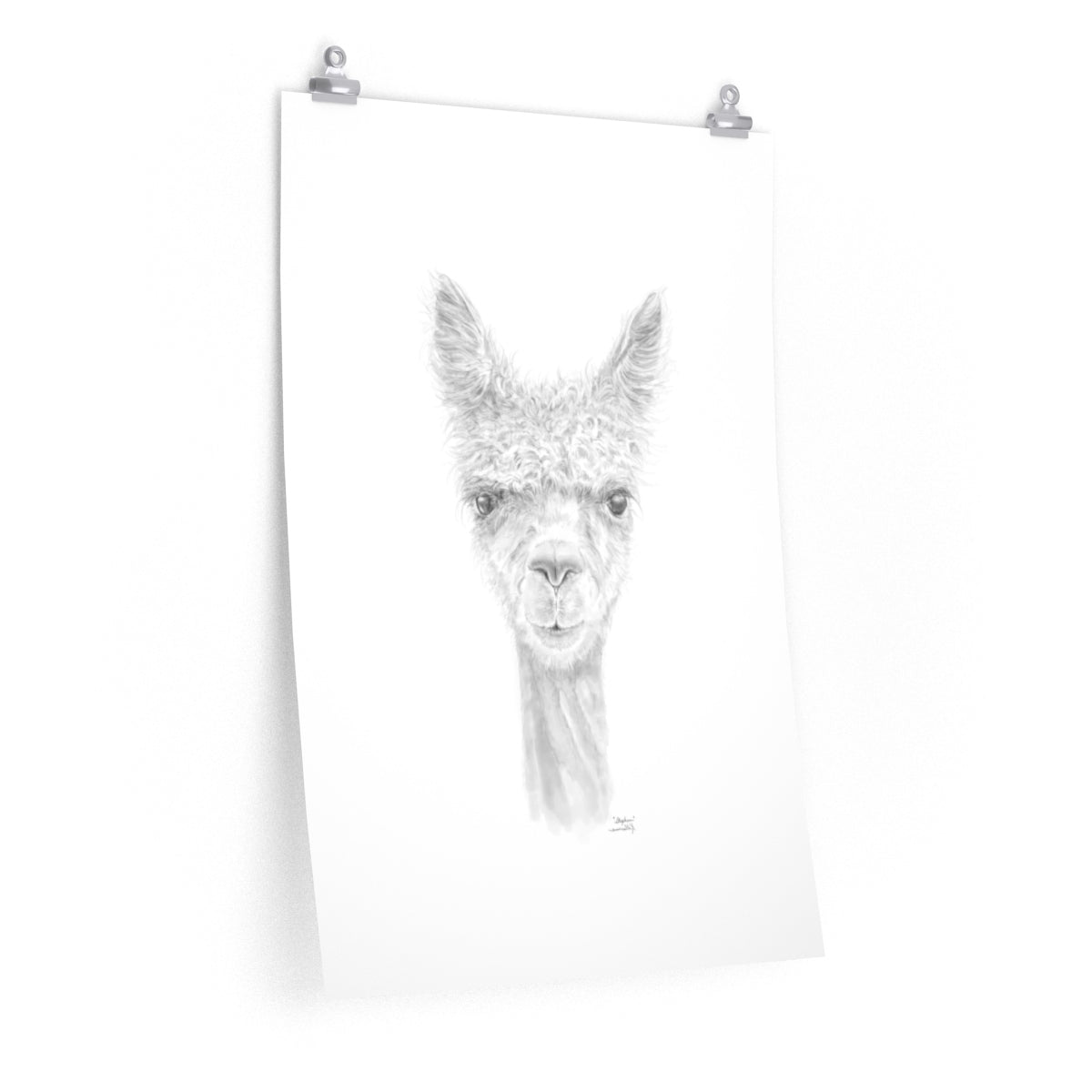 STEPHEN Llama- Art Paper Print