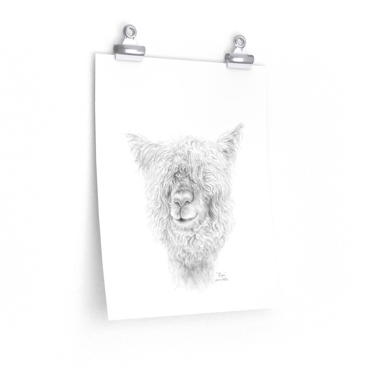 RION Llama- Art Paper Print
