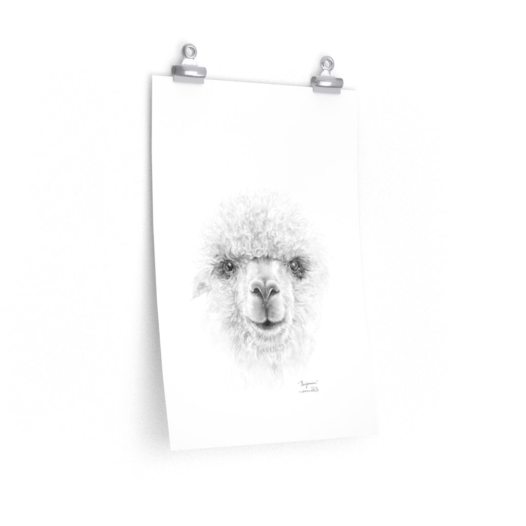 BENJAMIN Llama- Art Paper Print