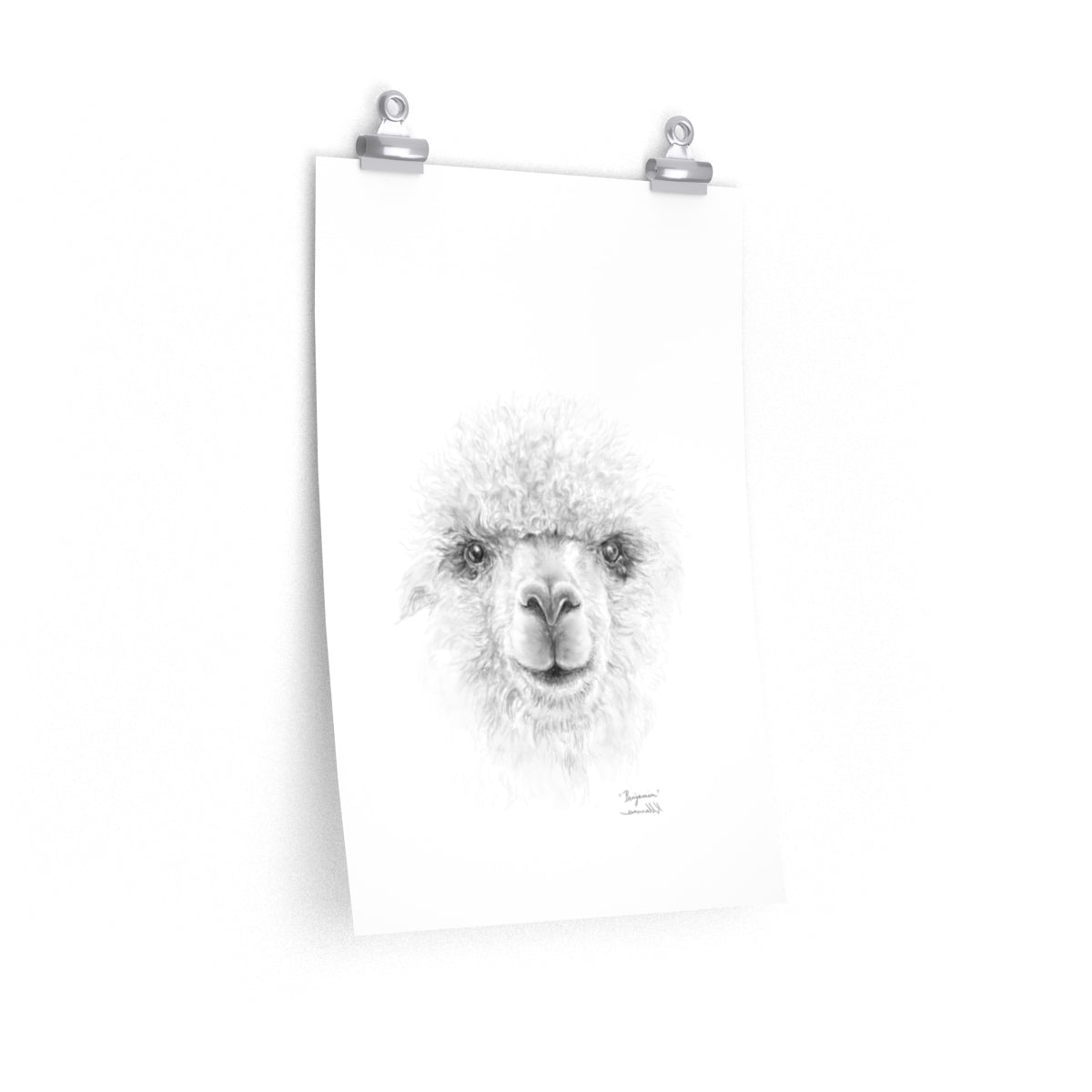 BENJAMIN Llama- Art Paper Print